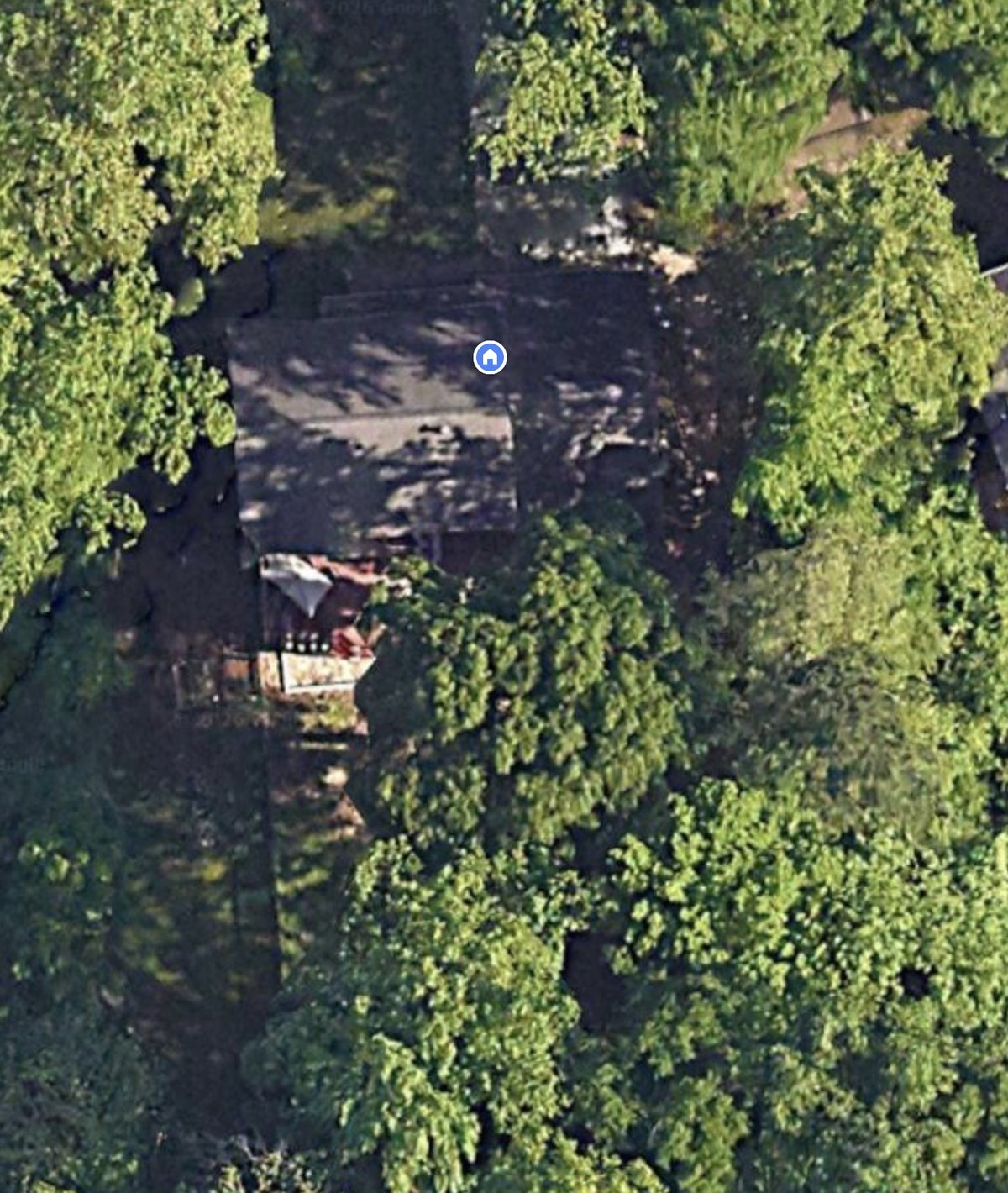 Aerial view of our house and backyard in summer, showing tree cover across the whole property